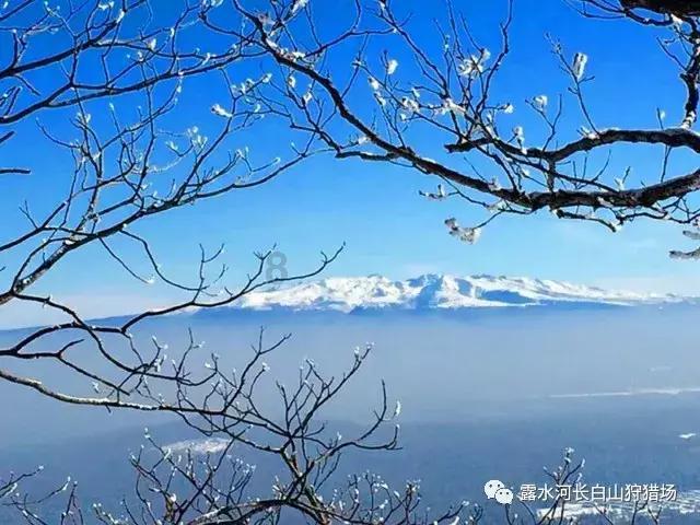 杨昌鹏:发挥比较优势 加快建设贵州航空产业城